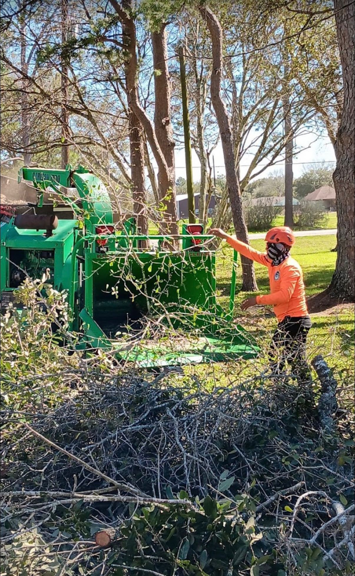 Crew cleaning up branches after the job