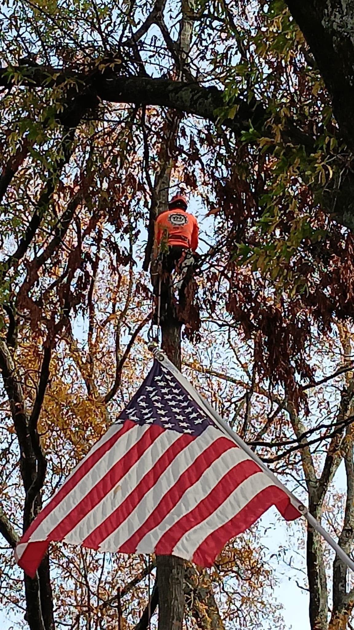 Trimmed tree beside an American flag