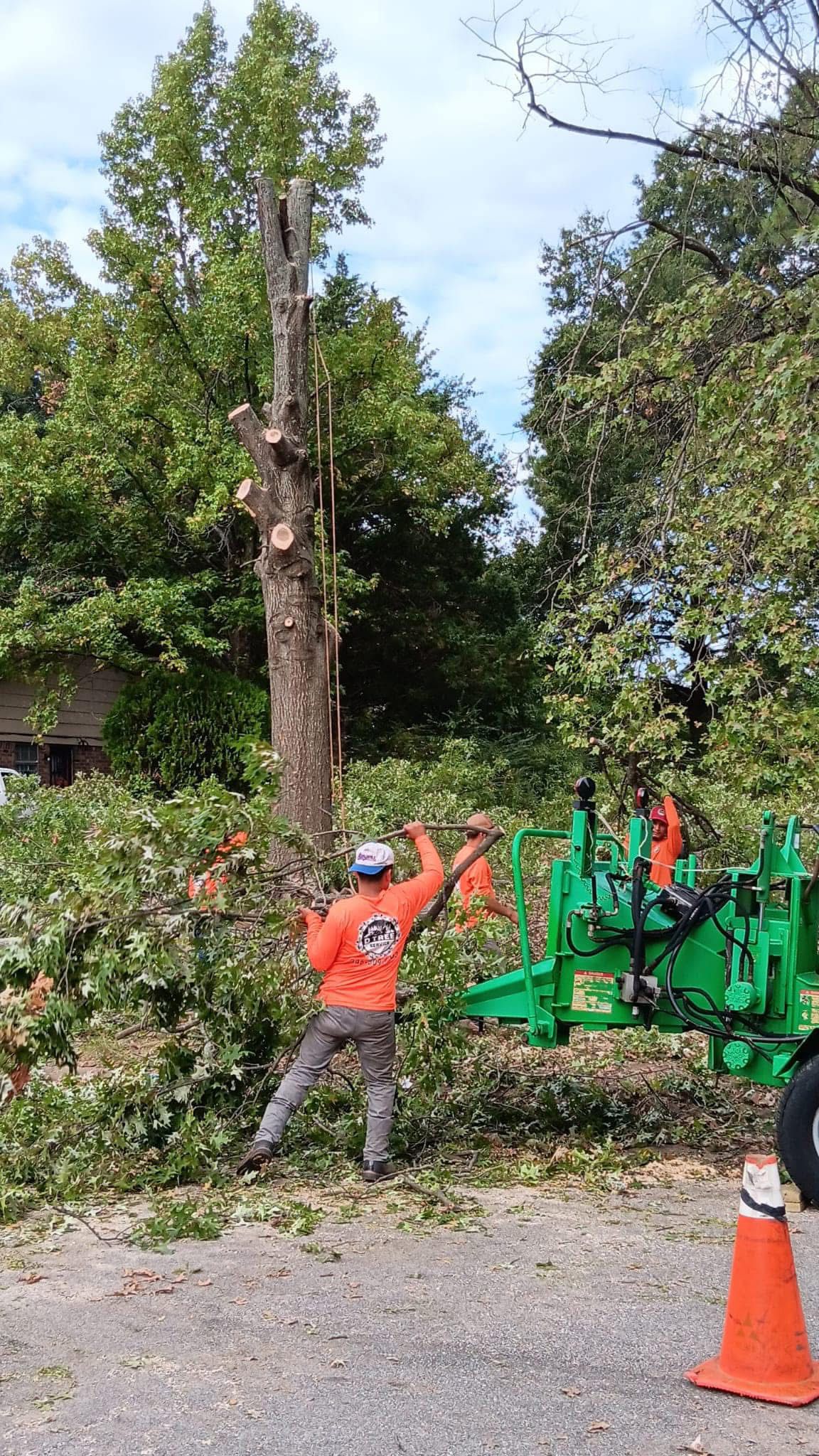 Crew working on tree removal